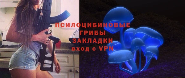 эйфоретик Ельня