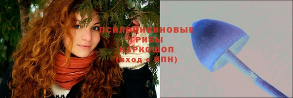 гидропоника Кулебаки