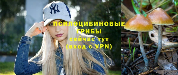 MESCALINE Елизово