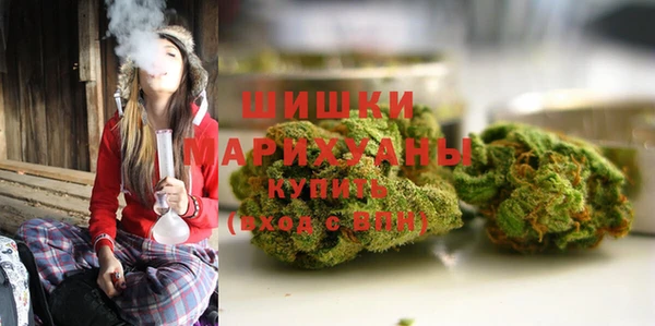 эйфоретик Ельня