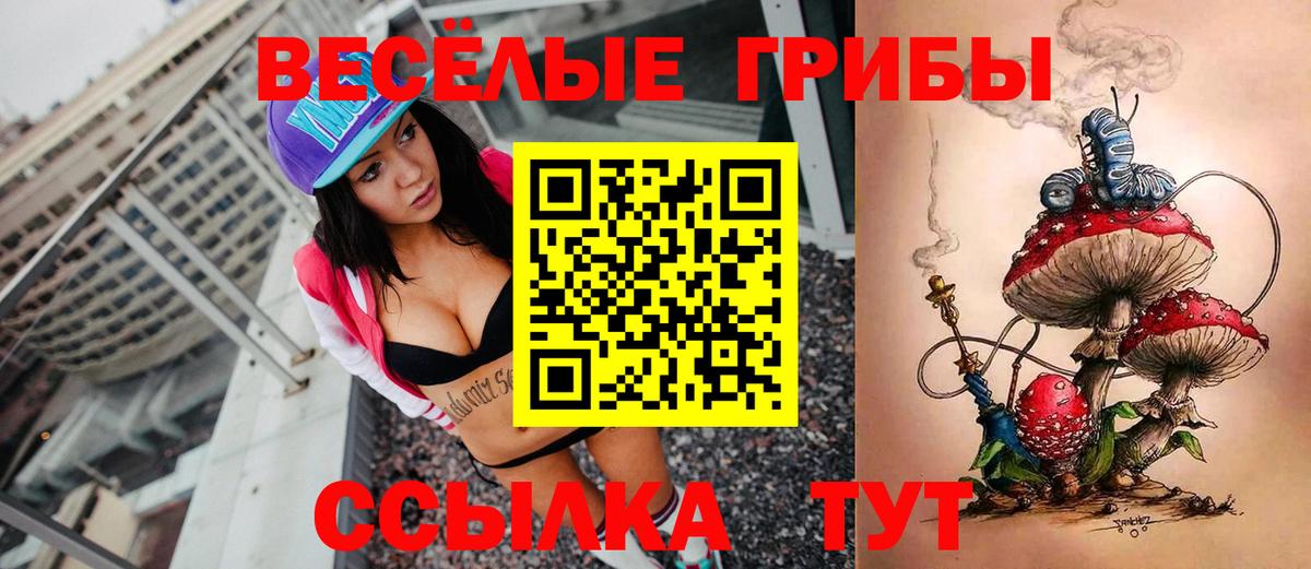 Псилоцибиновые грибы прущие грибы Выкса