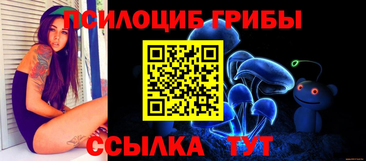 Выкса  Псилоцибиновые грибы мухоморы  Псилоцибиновые грибы Psilocybe  Вход с VPN 